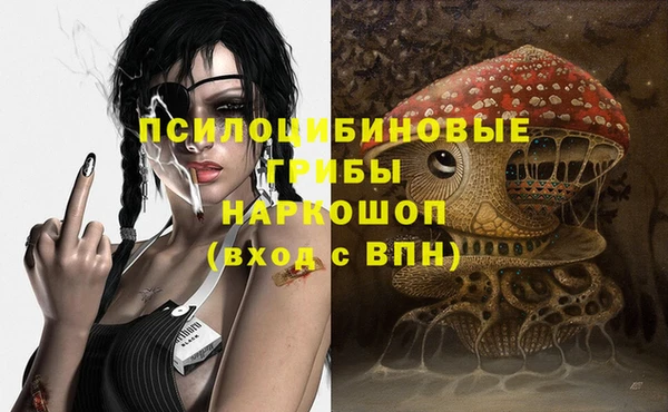 соль ск Белокуриха