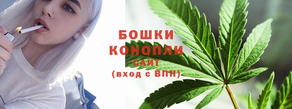 соль ск Белокуриха