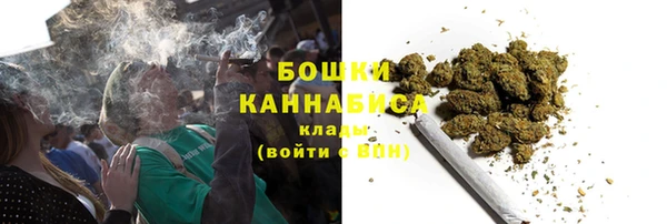 соль ск Белокуриха
