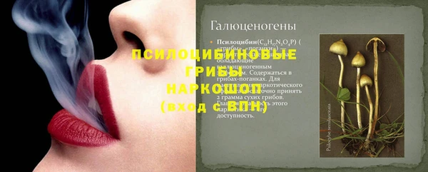 соль ск Белокуриха