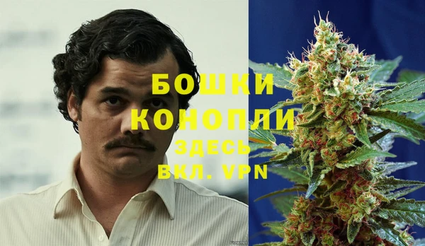 соль ск Белокуриха