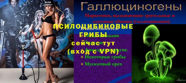 PSILOCYBIN Беломорск