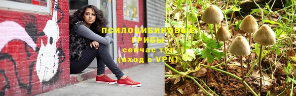 соль ск Белокуриха