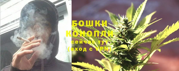 PSILOCYBIN Беломорск
