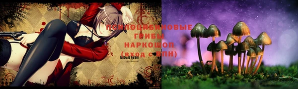 соль ск Белокуриха