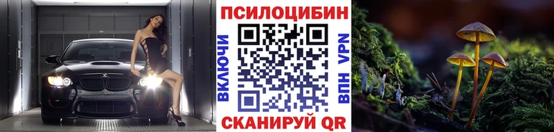 Псилоцибиновые грибы Psilocybe  Краснотурьинск 
