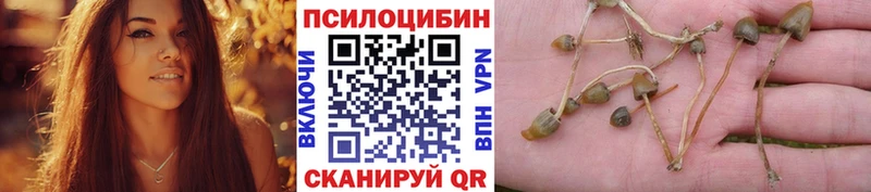 Псилоцибиновые грибы GOLDEN TEACHER Краснотурьинск